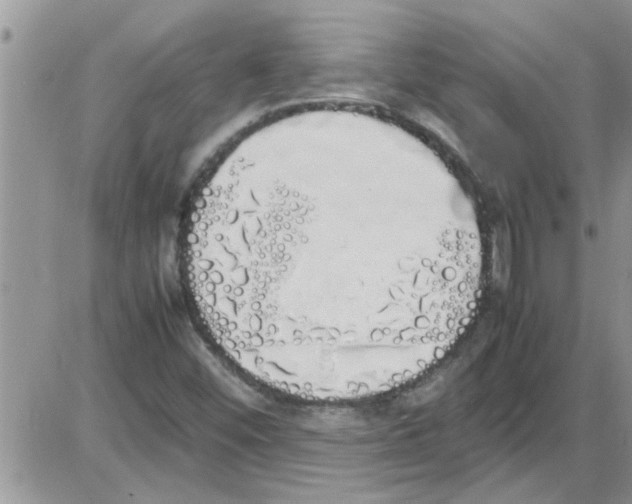 X0000086341452200704271955