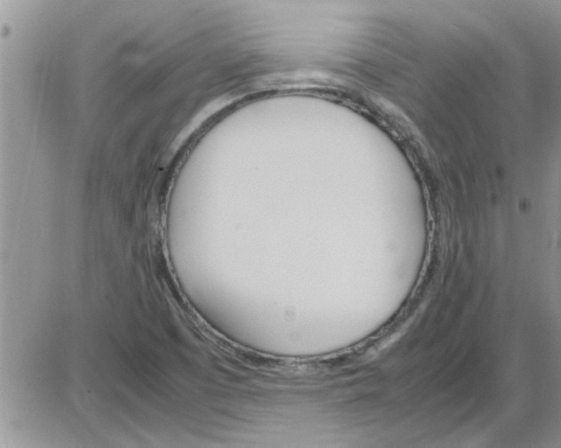 X0000086341457200704271955