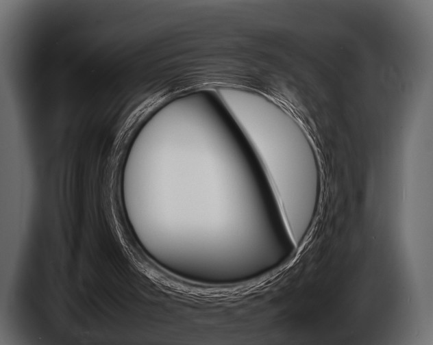 X0000086720001200704130736