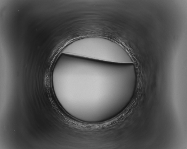 X0000086720002200704130736