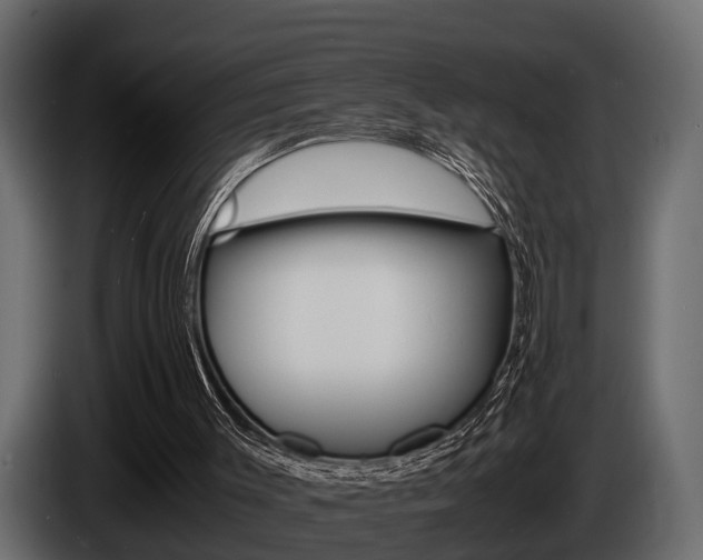X0000086720003200704130736