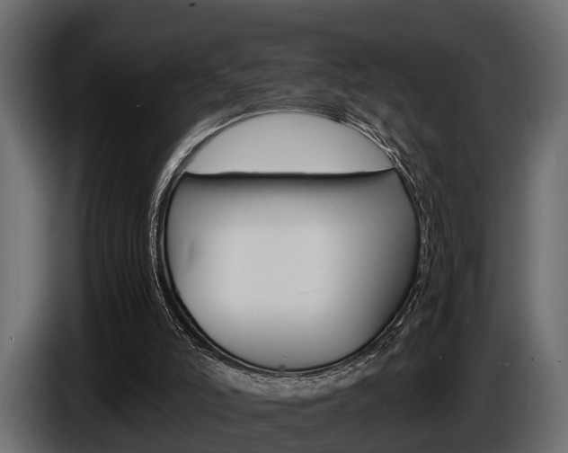 X0000086720006200704130736
