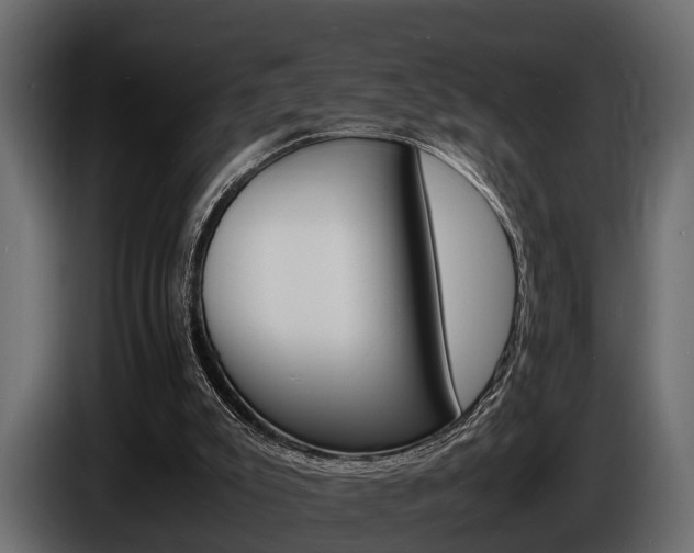 X0000086720007200704130736