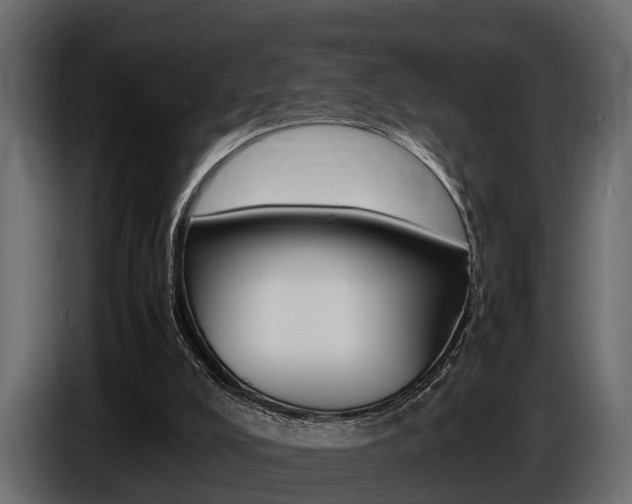X0000086720008200704130736