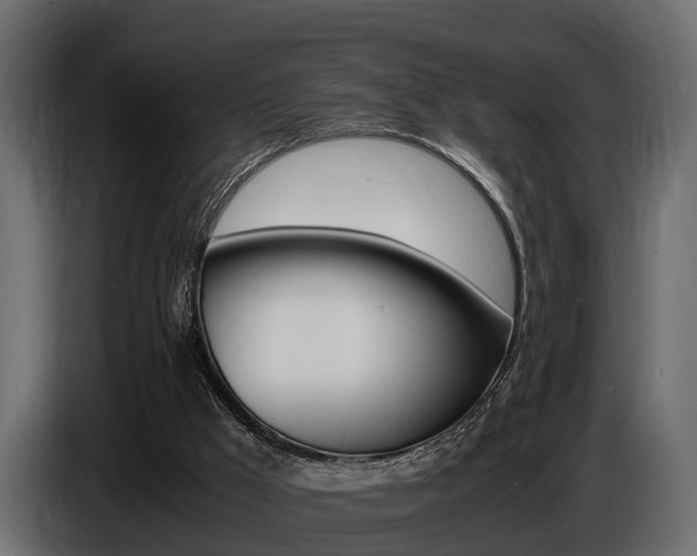X0000086720009200704130736