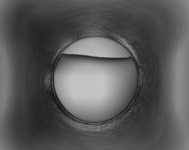 X0000086720010200704130736