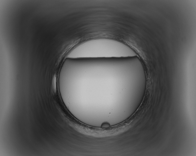 X0000086720014200704130736