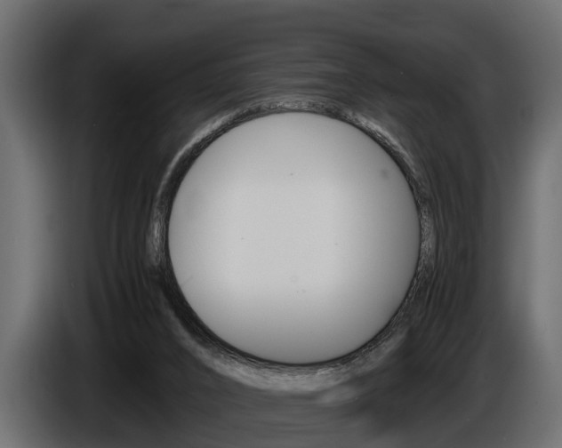 X0000086720016200704130736