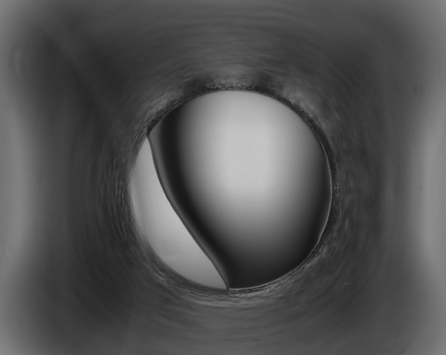X0000086720017200704130736