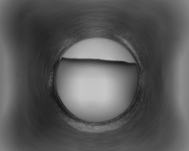 X0000086720018200704130736