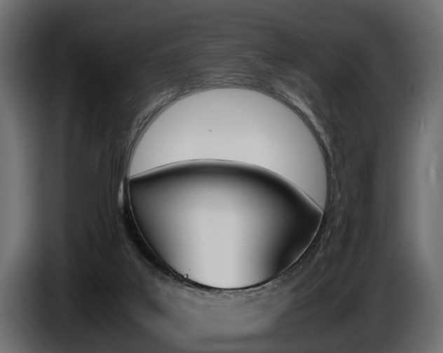 X0000086720019200704130736
