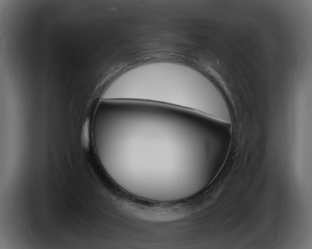 X0000086720020200704130736