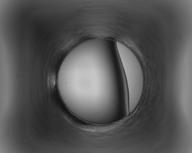 X0000086720021200704130736