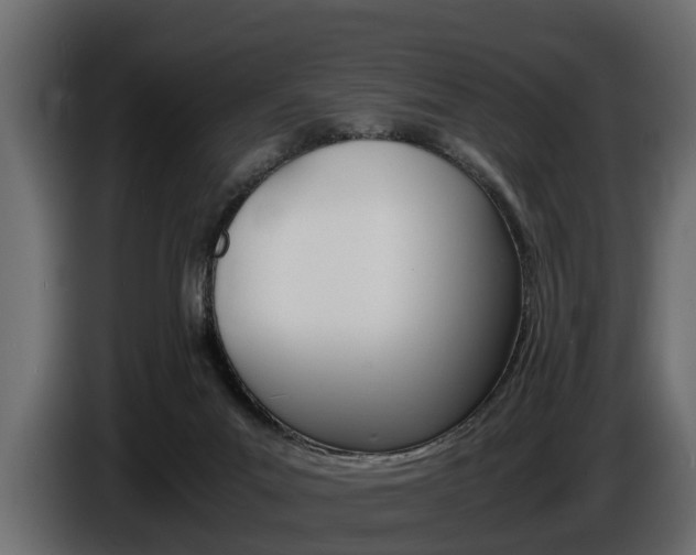 X0000086720023200704130736
