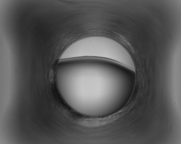 X0000086720025200704130736