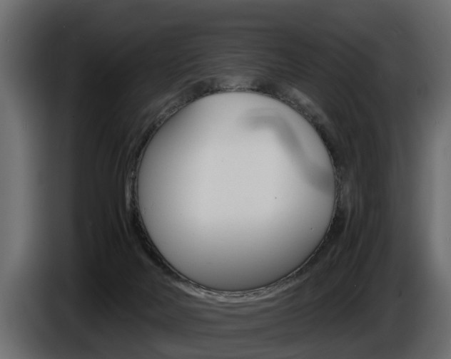 X0000086720026200704130736
