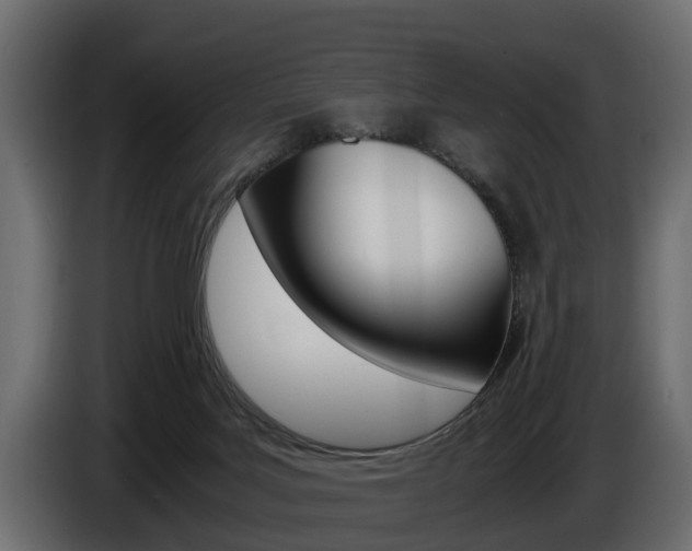 X0000086720027200704130736