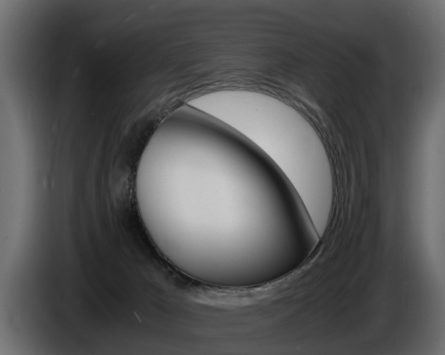 X0000086720029200704130736