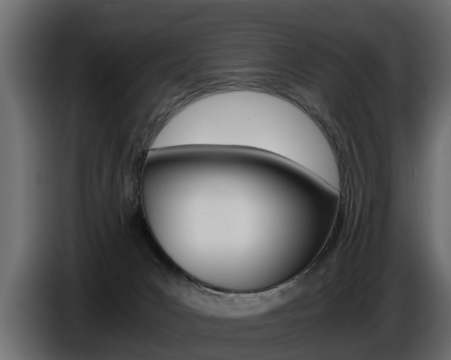 X0000086720031200704130736