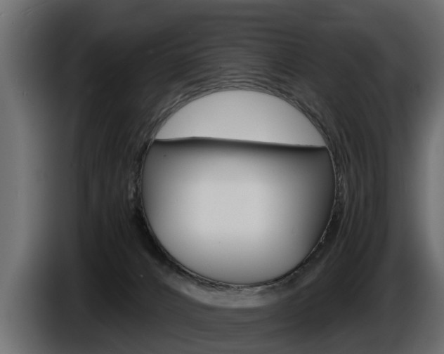 X0000086720032200704130736