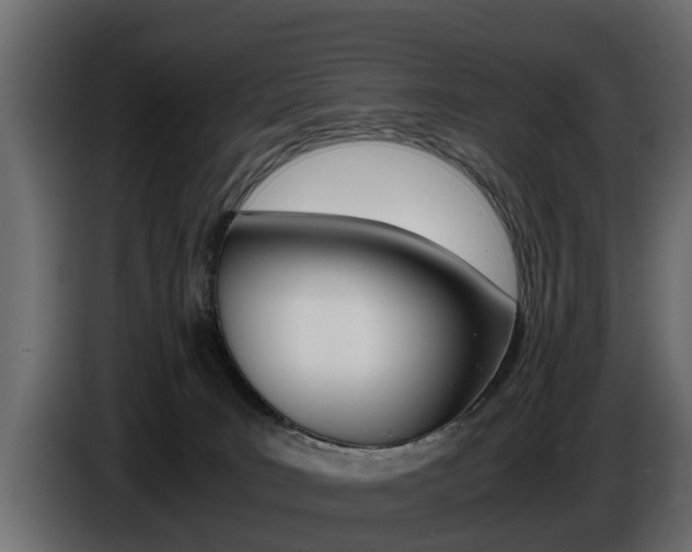 X0000086720035200704130736