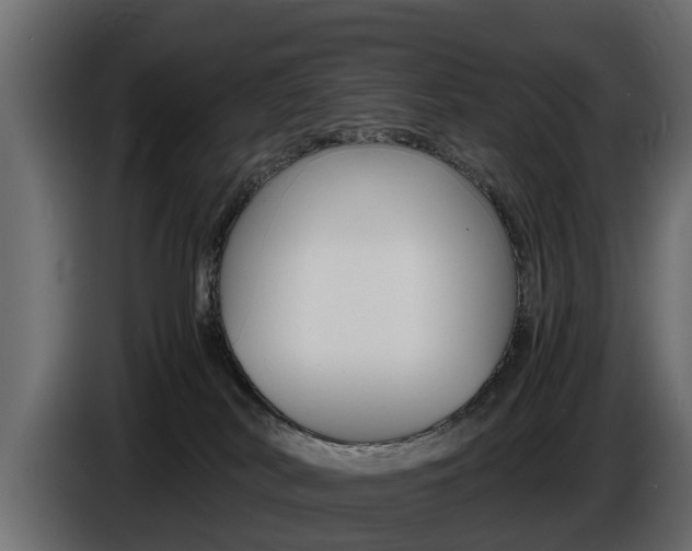 X0000086720038200704130736