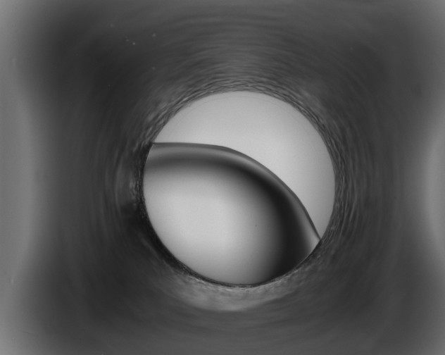 X0000086720039200704130736