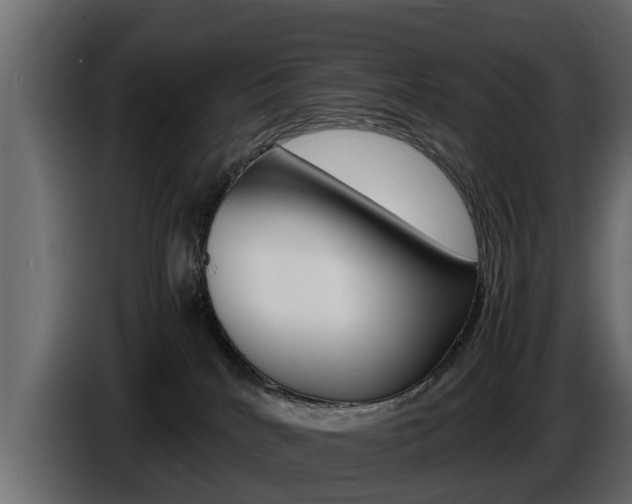X0000086720040200704130736