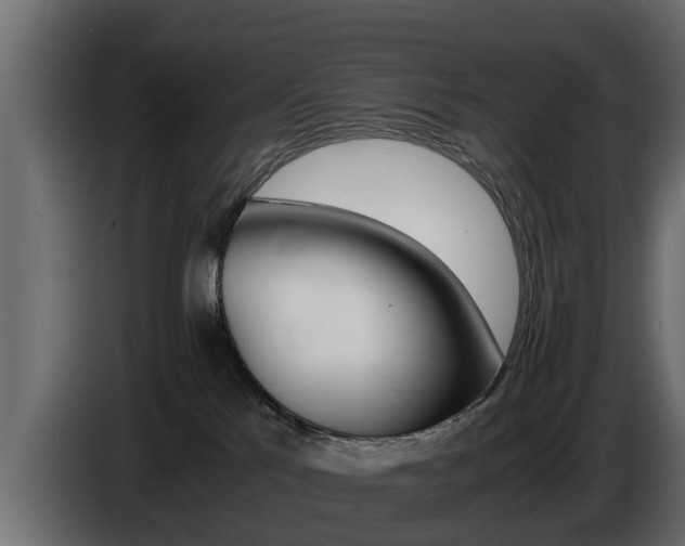 X0000086720041200704130736