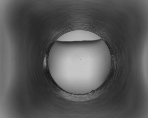X0000086720042200704130736