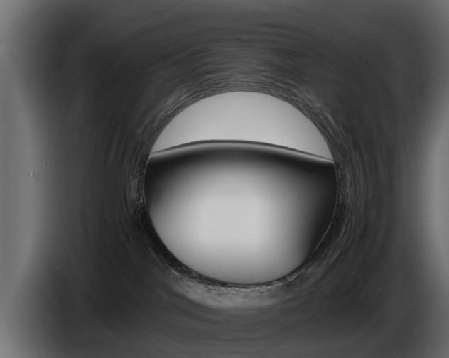 X0000086720044200704130736