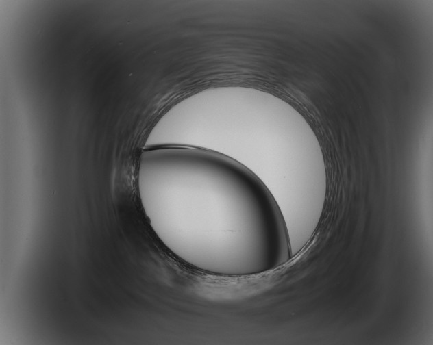 X0000086720045200704130736