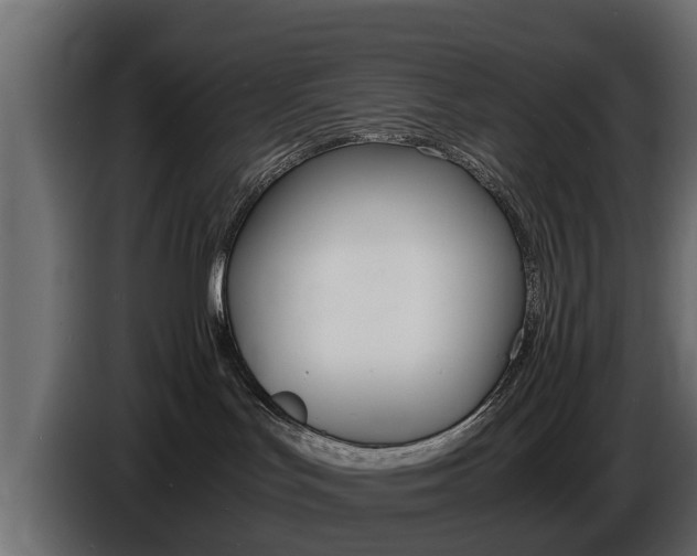 X0000086720047200704130736