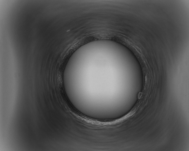 X0000086720048200704130736