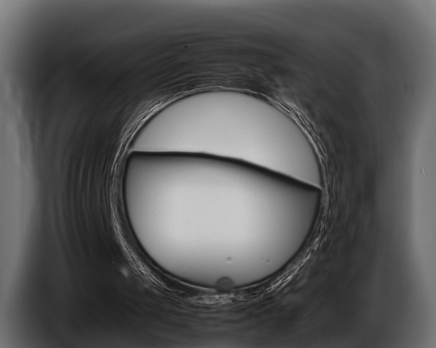 X0000086720049200704130735