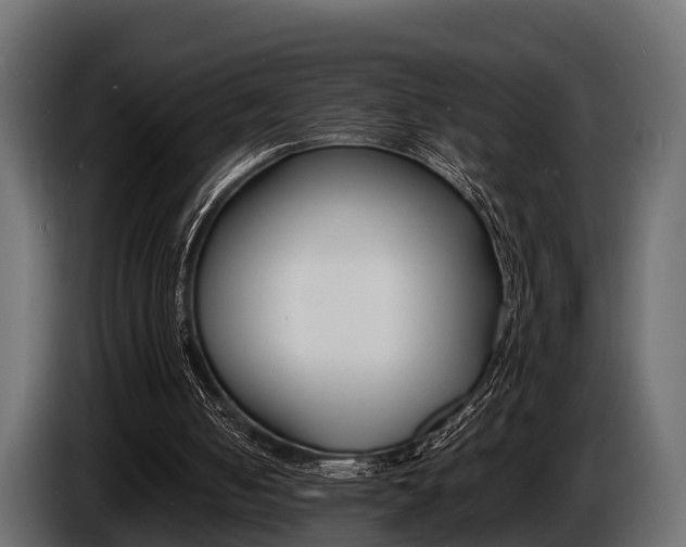 X0000086720050200704130735