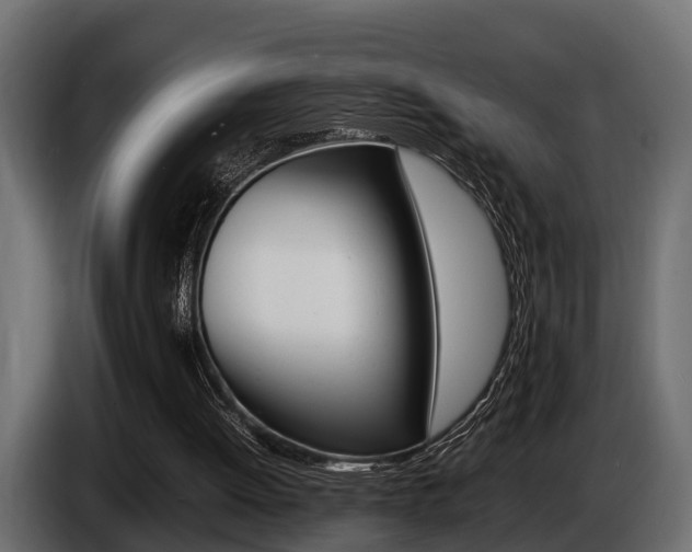 X0000086720052200704130735