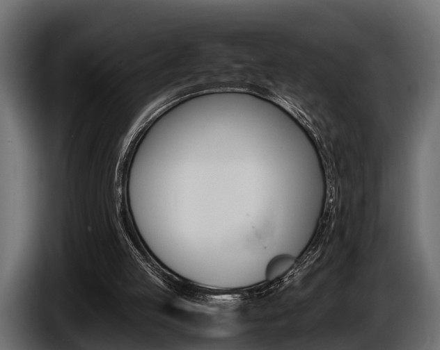 X0000086720053200704130735