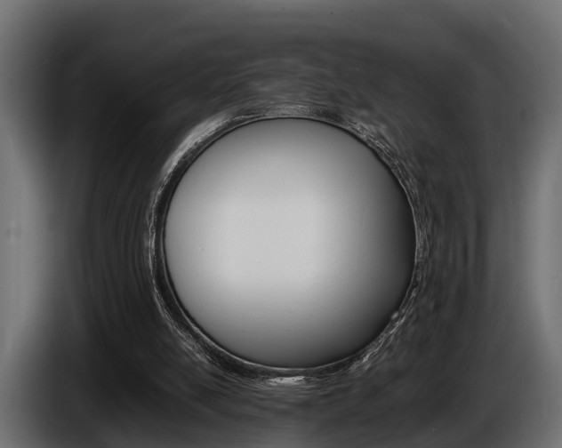 X0000086720054200704130735