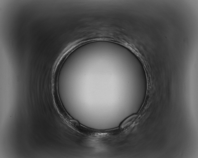 X0000086720055200704130735