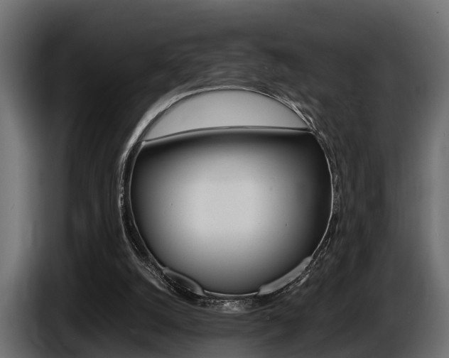 X0000086720056200704130735