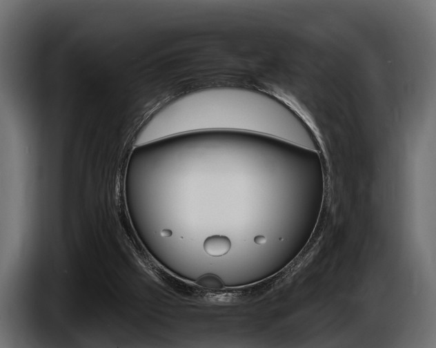 X0000086720057200704130735