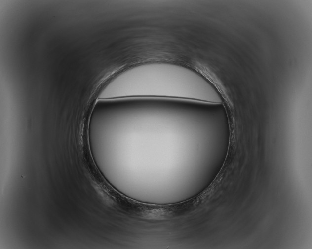 X0000086720058200704130735