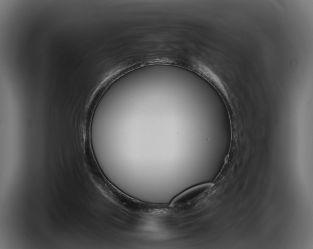 X0000086720059200704130735