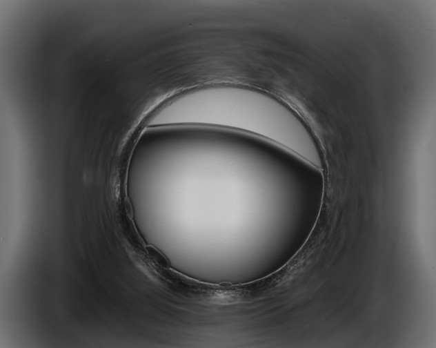 X0000086720060200704130735