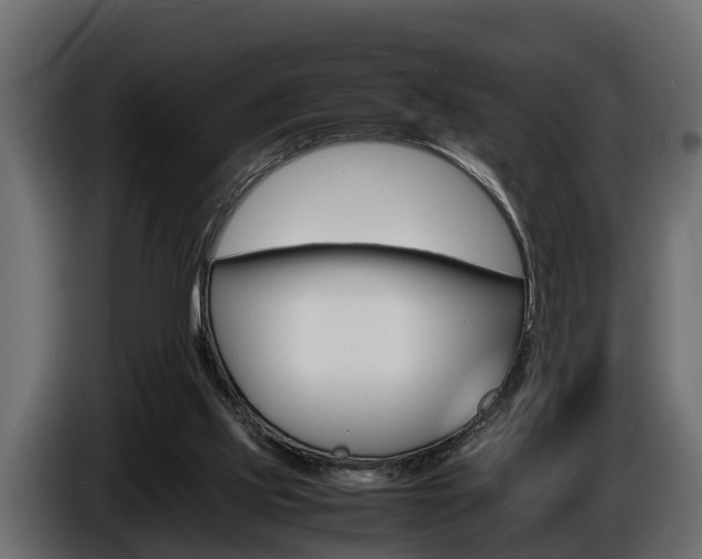 X0000086720061200704130735