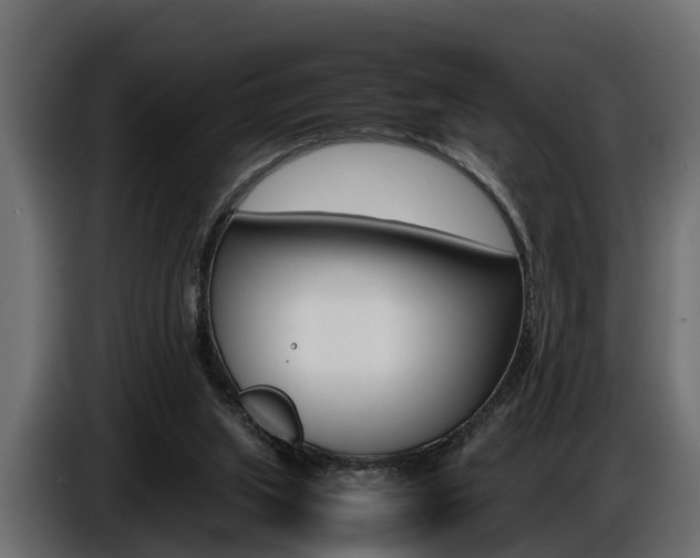 X0000086720063200704130735