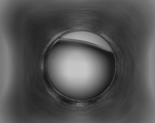 X0000086720064200704130736
