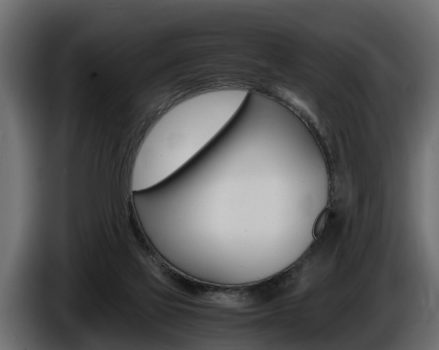 X0000086720069200704130736