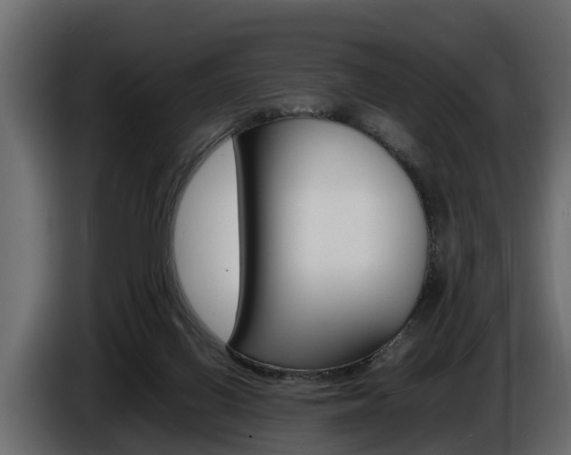 X0000086720070200704130736